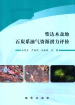 柴达木盆地石炭系油气资源潜力评价