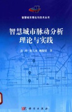 智慧城市脉动分析理论与实践