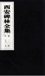 西安碑林全集 55卷 碑刻