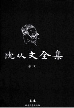 沈从文全集 14 杂文 修订本