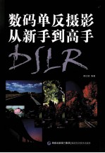 数码单反摄影从新手到高手