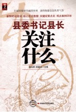 县委书记县长关注什么