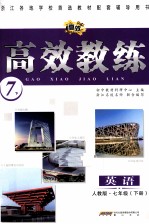 高效教练 英语 七年级 下 人教版