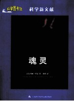 魂灵