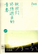致我们终将逝去的青春 典藏版