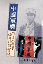 中国军魂 孙立人将军缅甸作战录