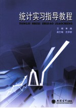 统计实习指导教程