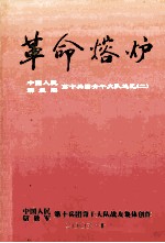 革命熔炉 中国人民解放军第十兵团青干大队追忆 2