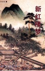 新红楼梦