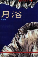 月浴 小说集