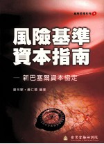 风险基准资本指南:新巴塞尔资本协定