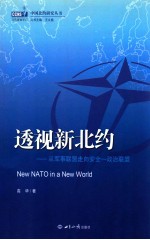 透视新北约 从军事联盟走向安全-政治联盟