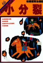 小分裂
