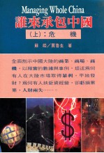 谁来承包中国 上 危机