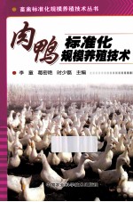 肉鸭标准化规模养殖技术