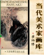 当代美术家画库 12