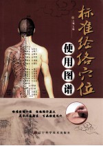 标准经络穴位使用图谱