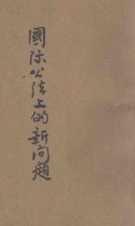 国际公法上的新问题