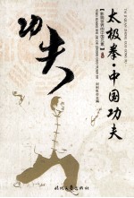 影响世界的中国元素 太极拳 中国功夫