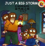 暴风雨之夜