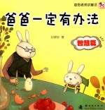 爸爸一定有办法 智慧篇