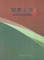 湖南小康年鉴 2014