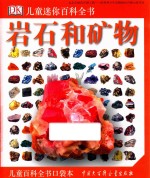 DK儿童迷你百科全书 岩石和矿物