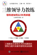 大树明星教练 三维领导力教练