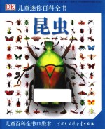 DK儿童迷你百科全书 昆虫