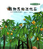 神奇的植物 植物界的活化石