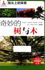 指尖上的探索 奇妙的树与木
