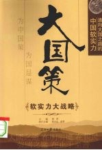 大国策 通向大国之路的中国软实力 软实力大战略