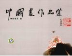 中国画作品集:心灵独白