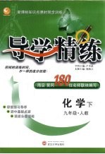 导学精练 化学 九年级 下 人教