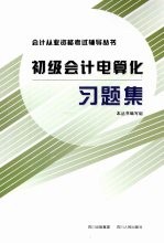 初级会计电算化习题集