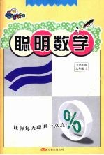 聪明数学 九年级 上 北师大版