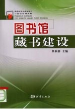 图书馆藏书建设