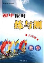 初中课时练与测 数学 八年级 上 配华师版