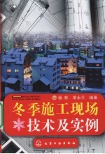 冬季施工现场技术及实例