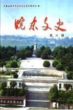 皖东文史 第6辑