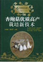 杏鲍菇优质高产栽培新技术