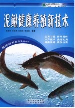 泥鳅健康养殖新技术