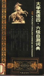 大学英语四、六级自测词典