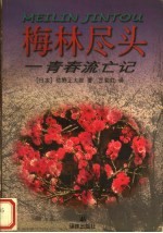 梅林尽头 青春流亡记
