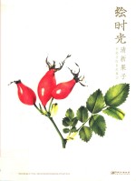 绘时光·清新果子 自然果实彩铅手绘时光