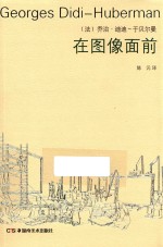 艺术与文化译丛 在图像面前