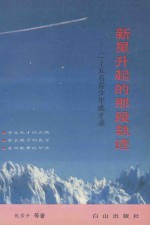 新星升起的那段轨迹 二十五名青少年成才录