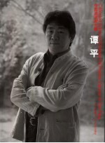 中国油画家全集 谭平卷