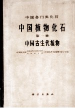 中国植物化石 第一册 中国古生代植物