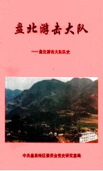 盘北游击大队:盘北游击大队队史